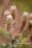 Filename=0005_fotowilga.JPG
Filesize=170KB
Dimensions=360x540
Date added=Aug 25, 2011 0005_fotowilga.JPG