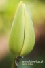 Filename=015_fotowilga~2.JPG
Filesize=68KB
Dimensions=360x540
Date added=May 09, 2012 015_fotowilga~2.JPG
