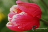 Filename=022_fotowilga.JPG
Filesize=104KB
Dimensions=720x480
Date added=Mar 18, 2012 022_fotowilga.JPG