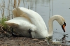 Filename=031_fotowilga~0.JPG
Filesize=117KB
Dimensions=720x480
Date added=Apr 19, 2012 031_fotowilga~0.JPG