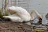 Filename=032_fotowilga~0.JPG
Filesize=123KB
Dimensions=720x480
Date added=Apr 19, 2012 032_fotowilga~0.JPG