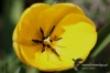 Filename=034_fotowilga.JPG
Filesize=92KB
Dimensions=720x480
Date added=May 09, 2012 034_fotowilga.JPG