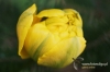 Filename=040_fotowilga~0.JPG
Filesize=94KB
Dimensions=720x480
Date added=May 07, 2012 040_fotowilga~0.JPG