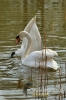 Filename=045_fotowilga~0.JPG
Filesize=83KB
Dimensions=360x540
Date added=Apr 19, 2012 045_fotowilga~0.JPG