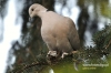 Filename=081_fotowilga.JPG
Filesize=117KB
Dimensions=720x480
Date added=Apr 19, 2012 081_fotowilga.JPG
