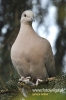 Filename=082_fotowilga~0.JPG
Filesize=72KB
Dimensions=360x540
Date added=Apr 19, 2012 082_fotowilga~0.JPG