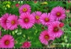 Filename=093_fotowilga~2.JPG
Filesize=152KB
Dimensions=720x502
Date added=Feb 13, 2012 093_fotowilga~2.JPG