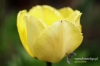 Filename=099_fotowilga.JPG
Filesize=91KB
Dimensions=720x480
Date added=May 14, 2012 099_fotowilga.JPG