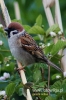 Filename=1012_fotowilga.JPG
Filesize=103KB
Dimensions=360x540
Date added=Dec 24, 2011 1012_fotowilga.JPG