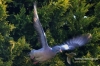 Filename=102_fotowilga~0.JPG
Filesize=136KB
Dimensions=720x480
Date added=Apr 27, 2012 102_fotowilga~0.JPG