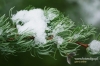 Filename=108_fotowilga~6.JPG
Filesize=130KB
Dimensions=720x480
Date added=Dec 09, 2011 108_fotowilga~6.JPG