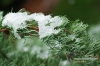 Filename=109_fotowilga~3.JPG
Filesize=141KB
Dimensions=720x480
Date added=Dec 09, 2011 109_fotowilga~3.JPG
