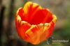 Filename=110_fotowilga~2.JPG
Filesize=92KB
Dimensions=720x480
Date added=May 06, 2012 110_fotowilga~2.JPG