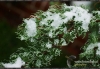 Filename=111_fotowilga~8.JPG
Filesize=168KB
Dimensions=720x498
Date added=Dec 09, 2011 111_fotowilga~8.JPG