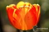 Filename=112_fotowilga~1.JPG
Filesize=98KB
Dimensions=720x480
Date added=May 06, 2012 112_fotowilga~1.JPG