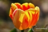 Filename=116_fotowilga~0.JPG
Filesize=99KB
Dimensions=720x480
Date added=May 06, 2012 116_fotowilga~0.JPG