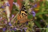 Filename=1204_fotowilga.jpg
Filesize=120KB
Dimensions=720x480
Date added=Jan 12, 2012 1204_fotowilga.jpg