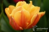 Filename=122_fotowilga.JPG
Filesize=108KB
Dimensions=720x480
Date added=Mar 22, 2012 122_fotowilga.JPG
