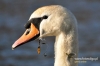 Filename=124_fotowilga~0.JPG
Filesize=94KB
Dimensions=720x480
Date added=Apr 09, 2012 124_fotowilga~0.JPG