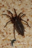 126-crop_[wilga]~0.JPG