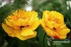 Filename=130_fotowilga.JPG
Filesize=119KB
Dimensions=720x480
Date added=Mar 25, 2012 130_fotowilga.JPG