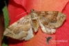 140-crop_[wilga]~4.JPG