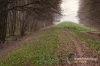 1415_fotowilga.JPG