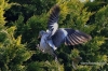 Filename=141_fotowilga~0.JPG
Filesize=202KB
Dimensions=720x480
Date added=Apr 16, 2012 141_fotowilga~0.JPG
