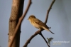 149_fotowilga~1.JPG