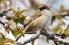 Filename=161_fotowilga~0.JPG
Filesize=117KB
Dimensions=720x480
Date added=May 02, 2012 161_fotowilga~0.JPG