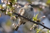 Filename=163_fotowilga~0.JPG
Filesize=106KB
Dimensions=720x480
Date added=May 02, 2012 163_fotowilga~0.JPG