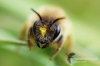 Filename=169_fotowilga~0.JPG
Filesize=95KB
Dimensions=720x480
Date added=Jun 09, 2012 169_fotowilga~0.JPG