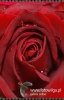 Filename=171_fotowilga~6.JPG
Filesize=90KB
Dimensions=348x540
Date added=Dec 21, 2011 171_fotowilga~6.JPG
