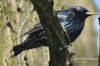 Filename=176_fotowilga~0.JPG
Filesize=118KB
Dimensions=720x480
Date added=May 02, 2012 176_fotowilga~0.JPG