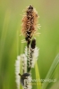 Filename=177_fotowilga~0.JPG
Filesize=76KB
Dimensions=360x540
Date added=May 13, 2012 177_fotowilga~0.JPG