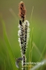 Filename=179_fotowilga~0.JPG
Filesize=79KB
Dimensions=360x540
Date added=May 13, 2012 179_fotowilga~0.JPG