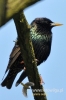 Filename=181_fotowilga~0.JPG
Filesize=67KB
Dimensions=360x540
Date added=May 02, 2012 181_fotowilga~0.JPG