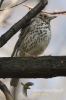 Filename=187_fotowilga~0.JPG
Filesize=66KB
Dimensions=360x540
Date added=May 10, 2012 187_fotowilga~0.JPG