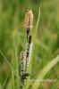 Filename=189_fotowilga~0.JPG
Filesize=79KB
Dimensions=360x540
Date added=May 13, 2012 189_fotowilga~0.JPG