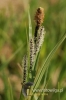 Filename=190_fotowilga~0.JPG
Filesize=86KB
Dimensions=360x540
Date added=May 13, 2012 190_fotowilga~0.JPG