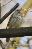 Filename=191_fotowilga~0.JPG
Filesize=73KB
Dimensions=360x540
Date added=May 10, 2012 191_fotowilga~0.JPG