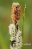 Filename=193_fotowilga~1.JPG
Filesize=76KB
Dimensions=360x540
Date added=May 13, 2012 193_fotowilga~1.JPG