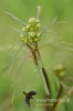 Filename=202_fotowilga~0.JPG
Filesize=72KB
Dimensions=360x540
Date added=May 14, 2012 202_fotowilga~0.JPG