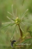 Filename=203_fotowilga~2.JPG
Filesize=71KB
Dimensions=360x540
Date added=May 14, 2012 203_fotowilga~2.JPG
