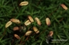 208-crop_[wilga]~0.JPG