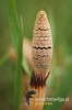 Filename=215_fotowilga~0.JPG
Filesize=77KB
Dimensions=360x540
Date added=May 16, 2012 215_fotowilga~0.JPG