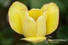 Filename=238_fotowilga.JPG
Filesize=105KB
Dimensions=720x480
Date added=Mar 24, 2012 238_fotowilga.JPG