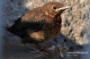 Filename=252_fotowilga~0.JPG
Filesize=110KB
Dimensions=720x480
Date added=May 03, 2012 252_fotowilga~0.JPG