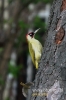 Filename=269_fotowilga.JPG
Filesize=78KB
Dimensions=360x540
Date added=May 05, 2012 269_fotowilga.JPG