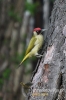 Filename=270_fotowilga~1.JPG
Filesize=86KB
Dimensions=360x540
Date added=May 05, 2012 270_fotowilga~1.JPG